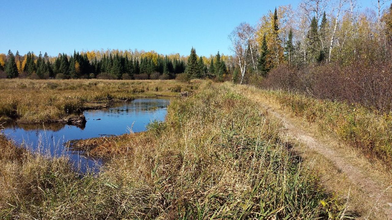 Wetland Delineation Prospector ATV Trail Minnesota