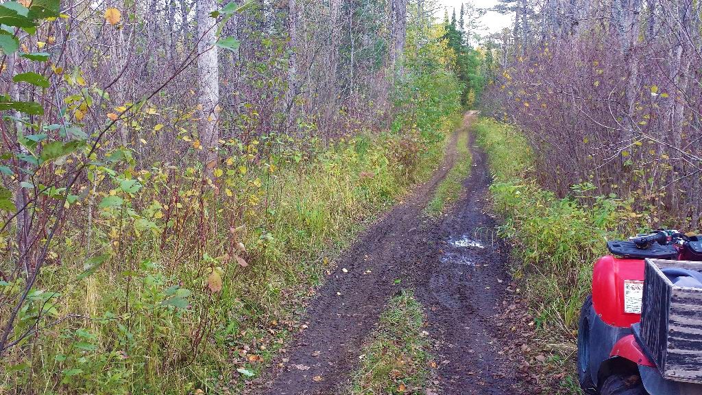 Wetland Delineation_Prospector ATV Trail Minnesota