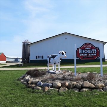 Hinchley's Dairy Farm Expansion - MSA