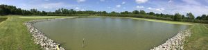 Image of large wastewater treatment pond with distant trees and blue skies at Myre-Big Island State Park in Minnesota