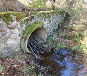 Image of a concrete culvert at a stream crossing filled with sticks in the Chequamegon-Nicolet National Forest in northern Wisconsin.