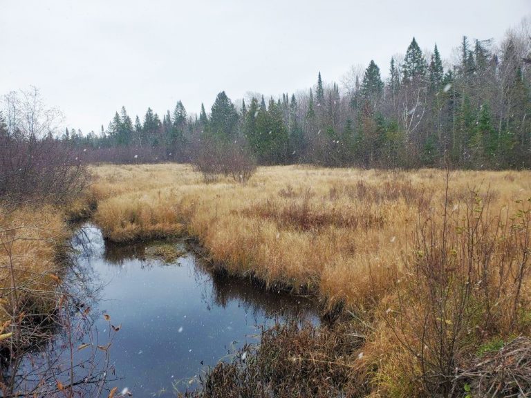 Chequamegon-Nicolet National Forest Road & Trail Waterway Crossing ...